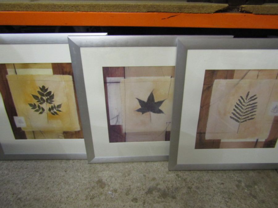 3 framed prints depicting various leaves and a pair of Sally Harvey limited edition prints