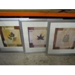 3 framed prints depicting various leaves and a pair of Sally Harvey limited edition prints