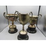 3 Kings Lynn cattle stock show trophys (All proceeds from Sale being donated to charity)