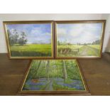 3 Framed oil on board landscape paintings by local artist E. England 35cm x 45cm approx