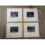 Set of 4 framed and glazed fox paintings by local artist E. England 24cm x 27cm approx