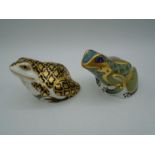 2 Royal Crown Derby paperweight frogs to inc Fountain Frog and Aura design frog, both with gold