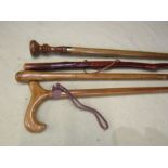 4 Walking sticks