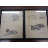 2 mixed media drawings of dogs- wire haired terrier, West Highland terrier and aberdeen terrier in