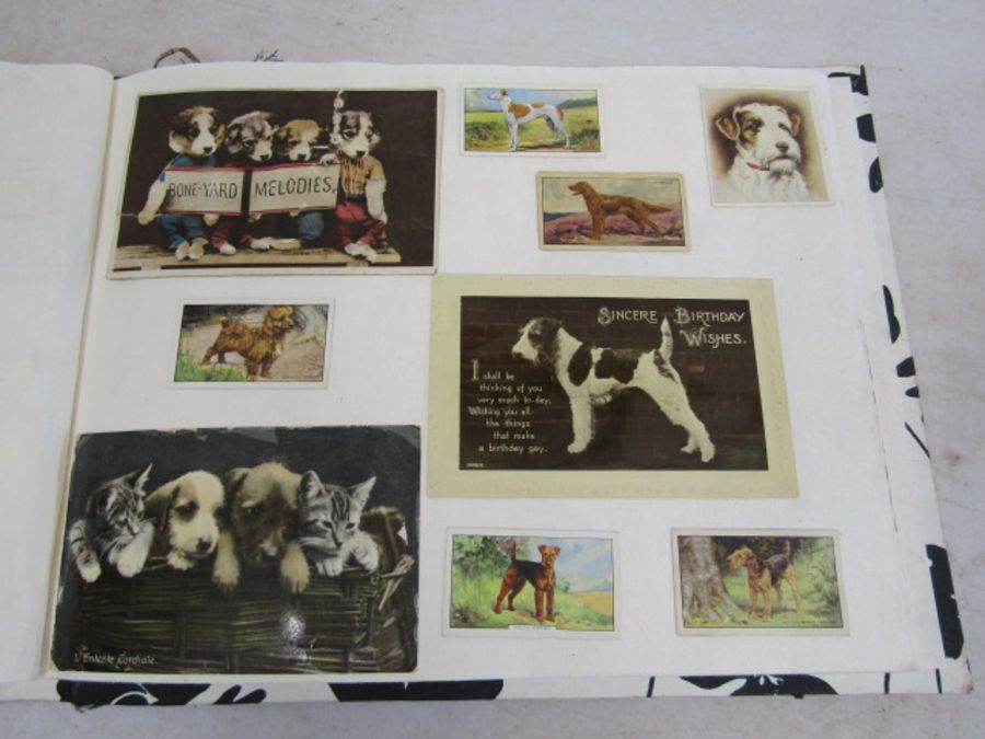 A scrap book of Dogs and the odd cat with loose transfers - Image 21 of 33