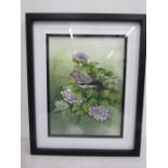Jenny Haylett (Norfolk artist) 'Wood pigeon on Hydrangea' watercolour 15x11.5" signed, framed and