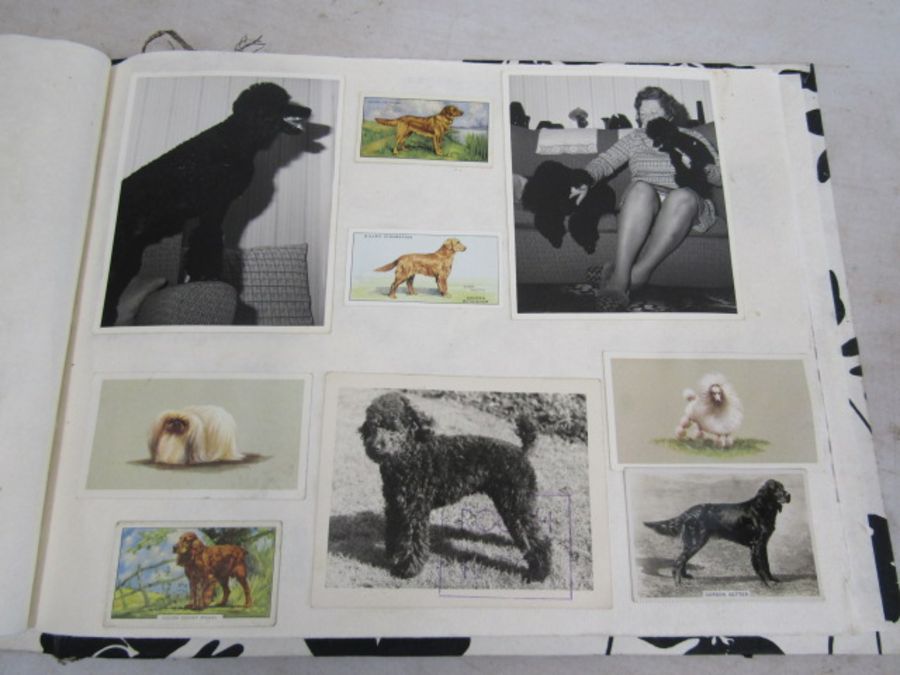 A scrap book of Dogs and the odd cat with loose transfers - Image 25 of 33