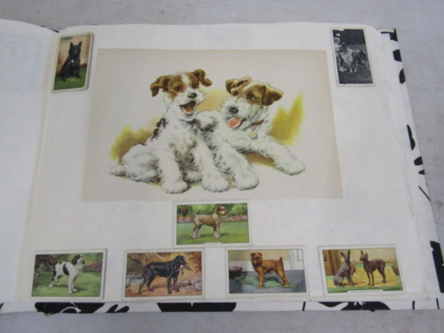 A scrap book of Dogs and the odd cat with loose transfers - Image 15 of 33