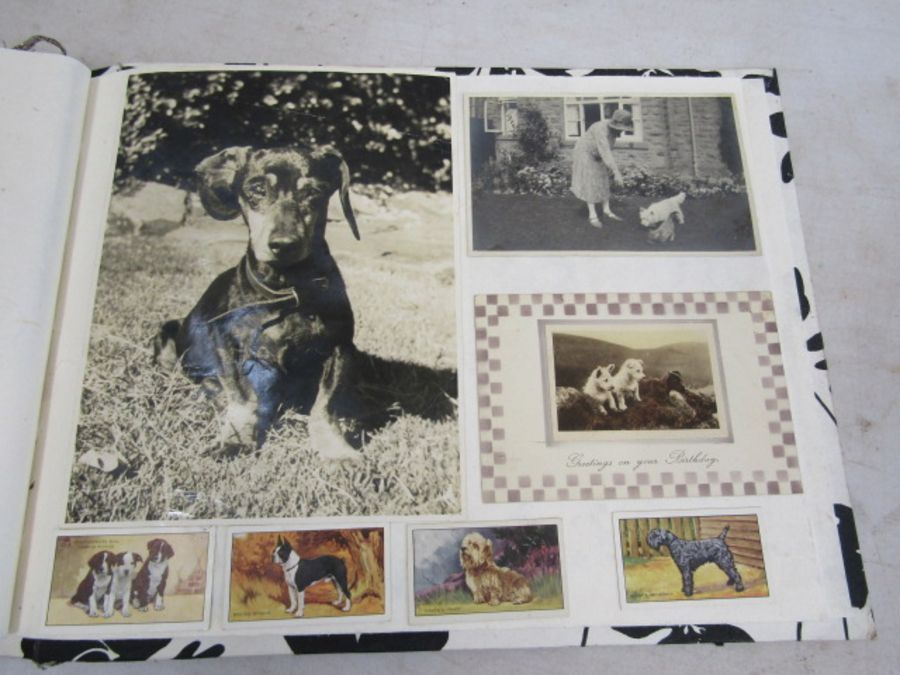 A scrap book of Dogs and the odd cat with loose transfers - Image 28 of 33