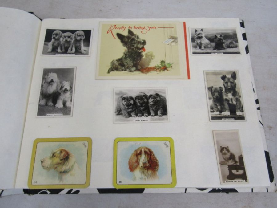 A scrap book of Dogs and the odd cat with loose transfers - Image 10 of 33