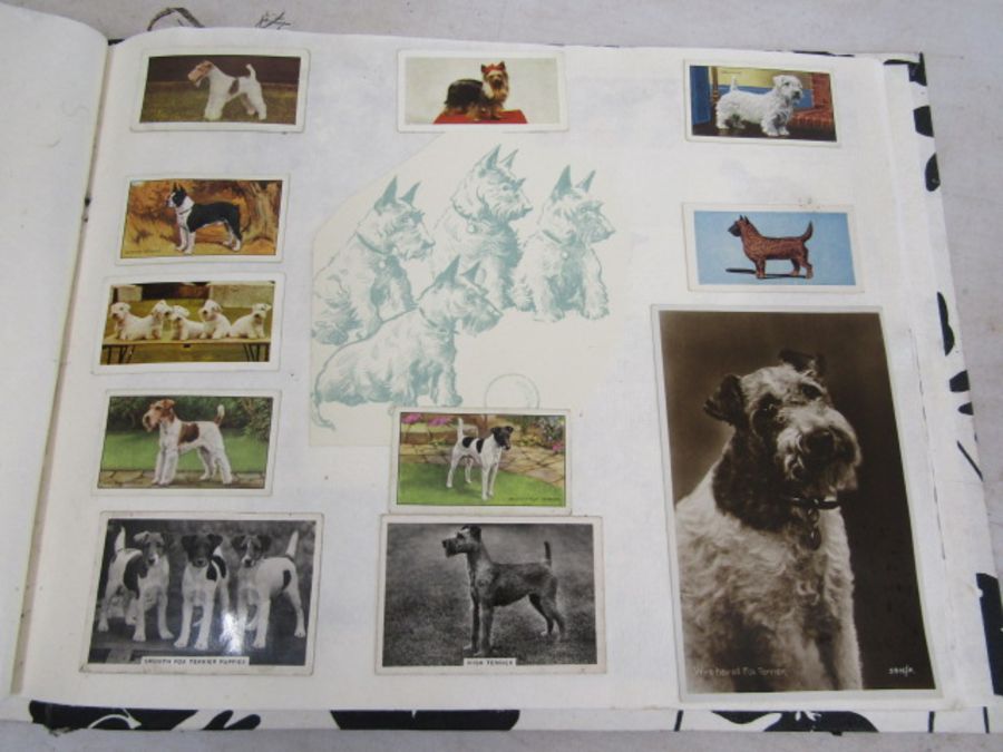 A scrap book of Dogs and the odd cat with loose transfers - Image 23 of 33