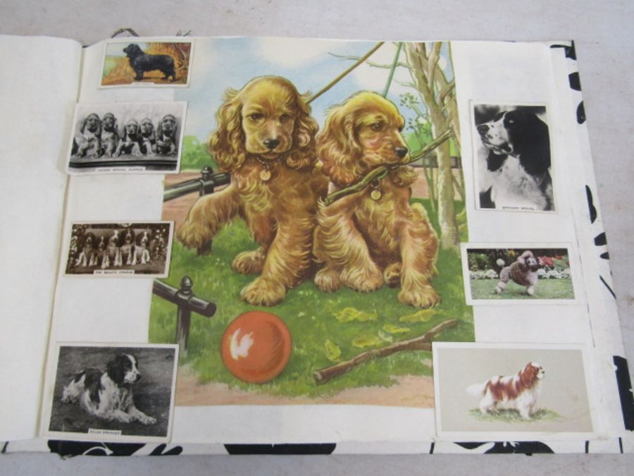 A scrap book of Dogs and the odd cat with loose transfers - Image 20 of 33