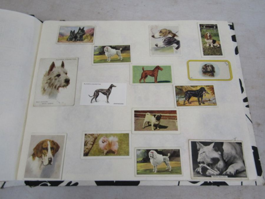 A scrap book of Dogs and the odd cat with loose transfers - Image 11 of 33