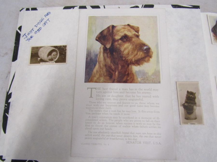 A scrap book of Dogs and the odd cat with loose transfers - Image 3 of 33