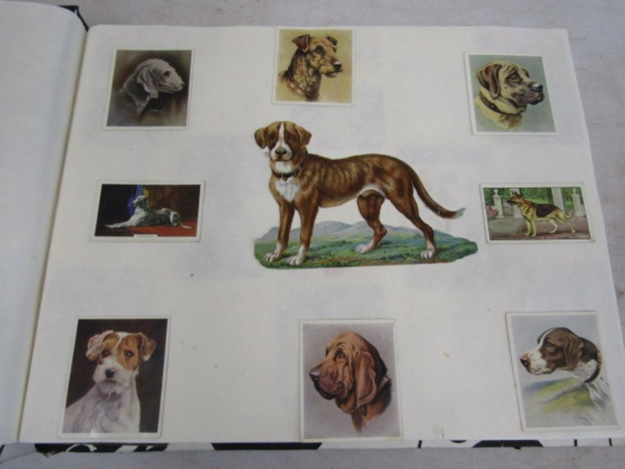 A scrap book of Dogs and the odd cat with loose transfers - Image 6 of 33