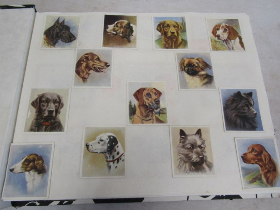 A scrap book of Dogs and the odd cat with loose transfers - Image 4 of 33