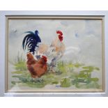 M O'Neil watercolour of a cockerel and hen framed and glazed 36cm x 34cm