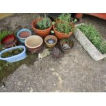 Trough and various plant pots