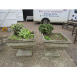Pair of concrete garden pots on stands H44cm approx