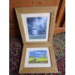 2 Framed and glazed Jill Arnold textile art pictures . Largest 33cm x 38cm approx