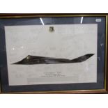 1990 squadron print F-117A Nighthawk (stealth)37TFW Tonopah test range nellis AFB Nevada. Signed