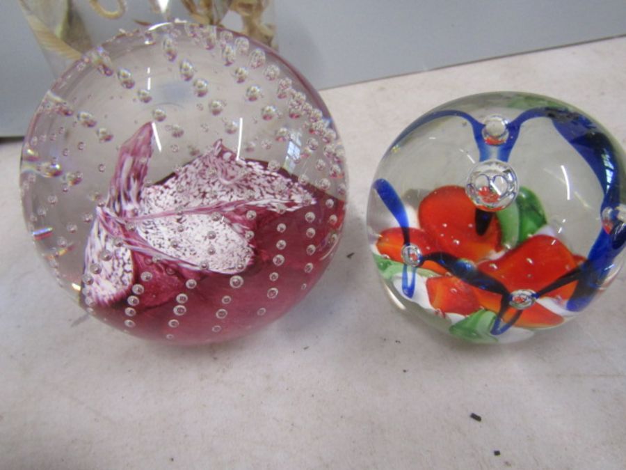 Various paperweights - Image 5 of 6