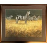 John Threlfall SWLA (b.1958), Zebra in the savannah landscape in pastel signed lower left " John M