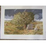 After Davis Tress Limited edition print of sheep  221/250 unframed  74x55cm