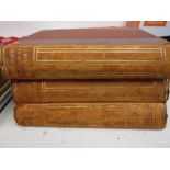 3 Harmsworth Natural History books