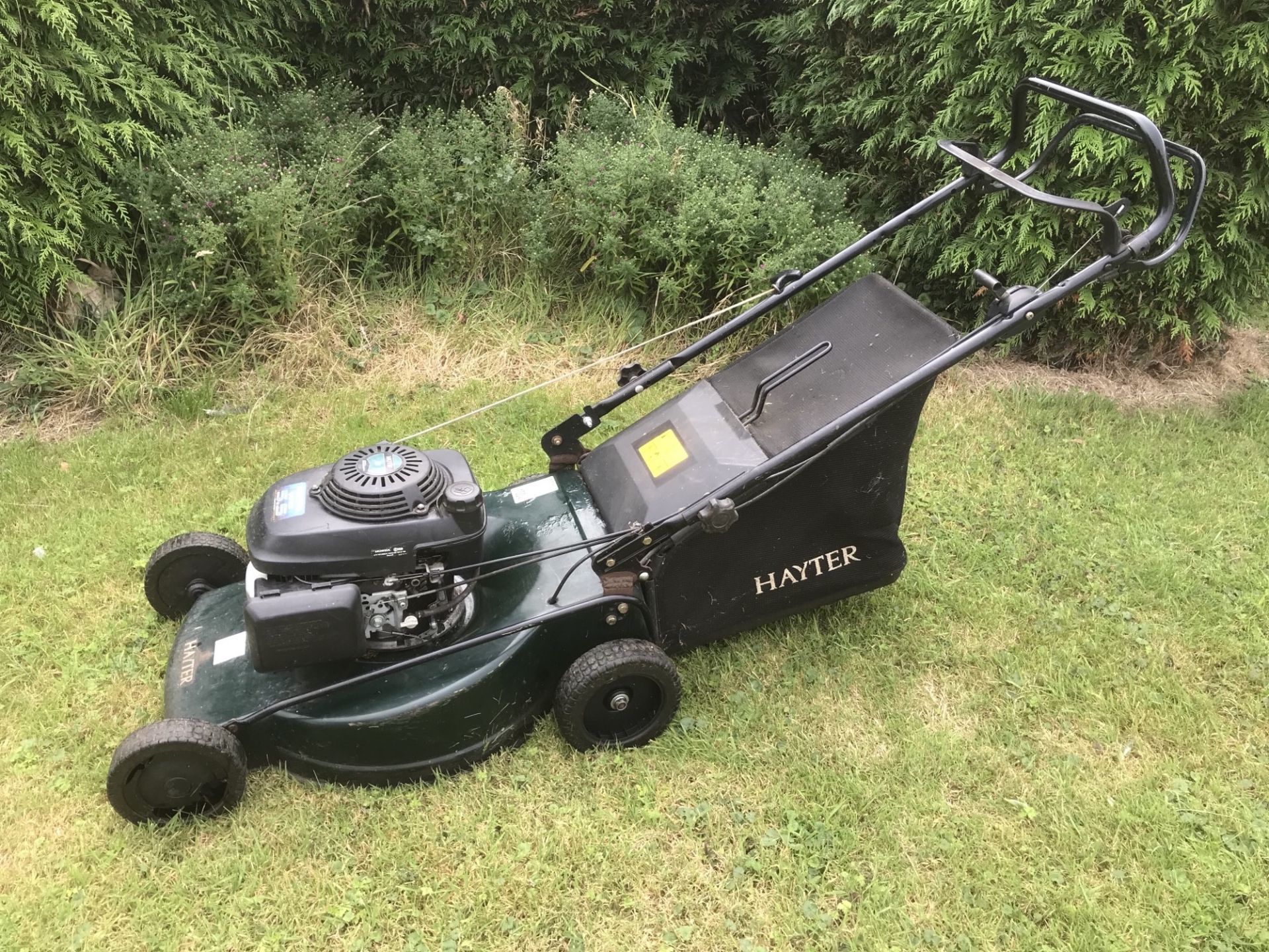 Hayter Motif 53 petrol lawnmower GWO