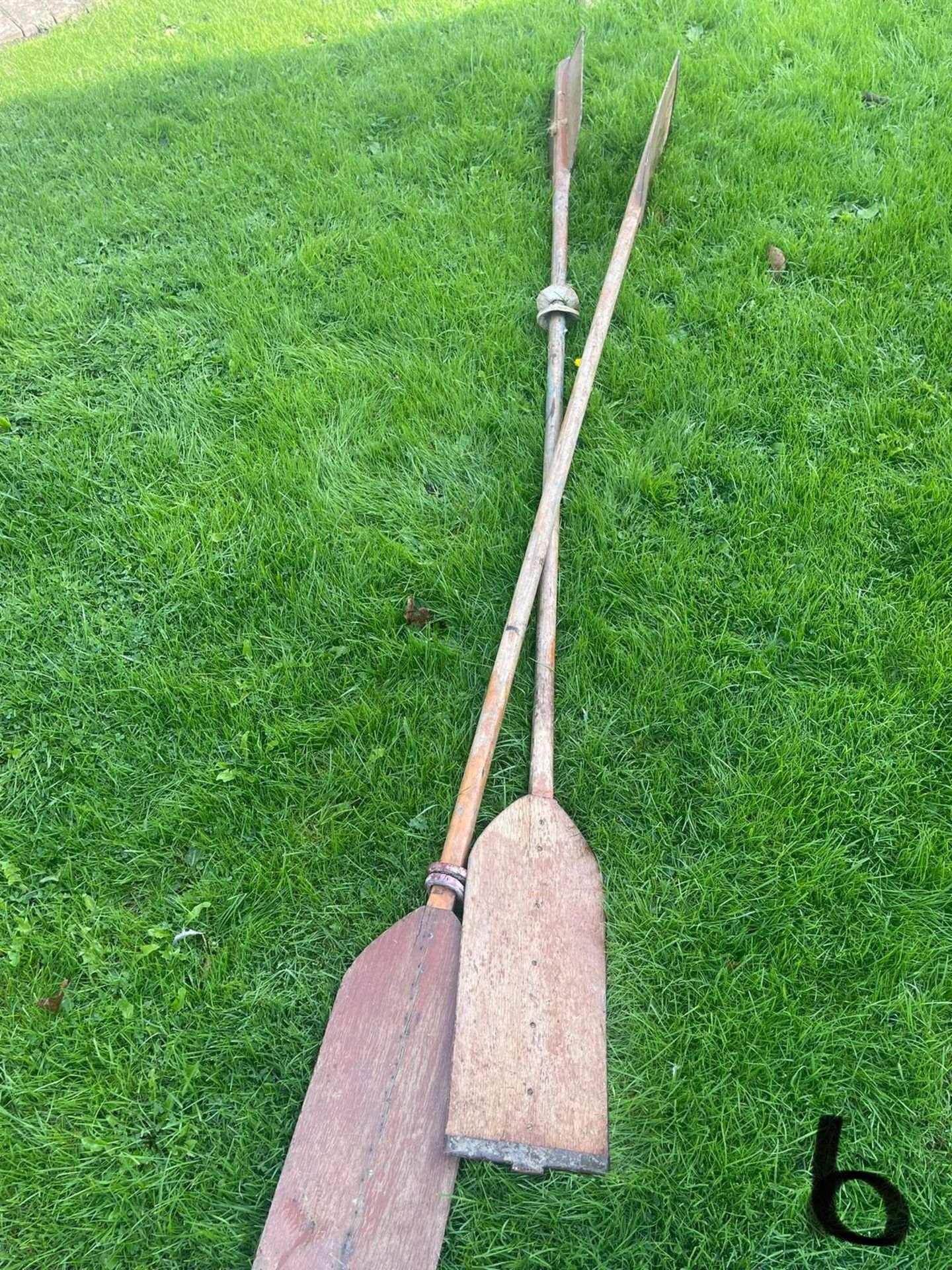 Pair of wooden oars
