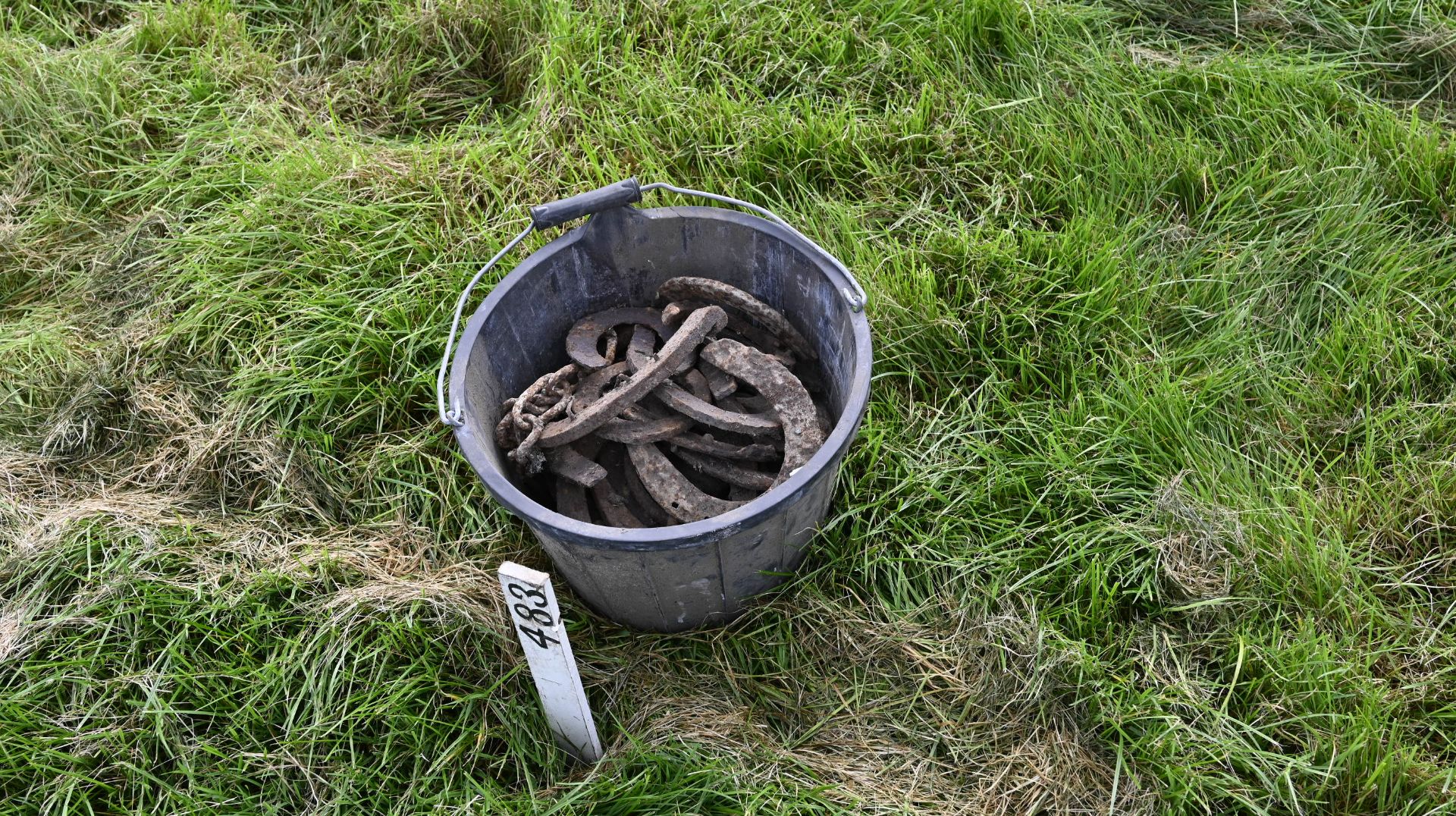 Bucket Horse shoes