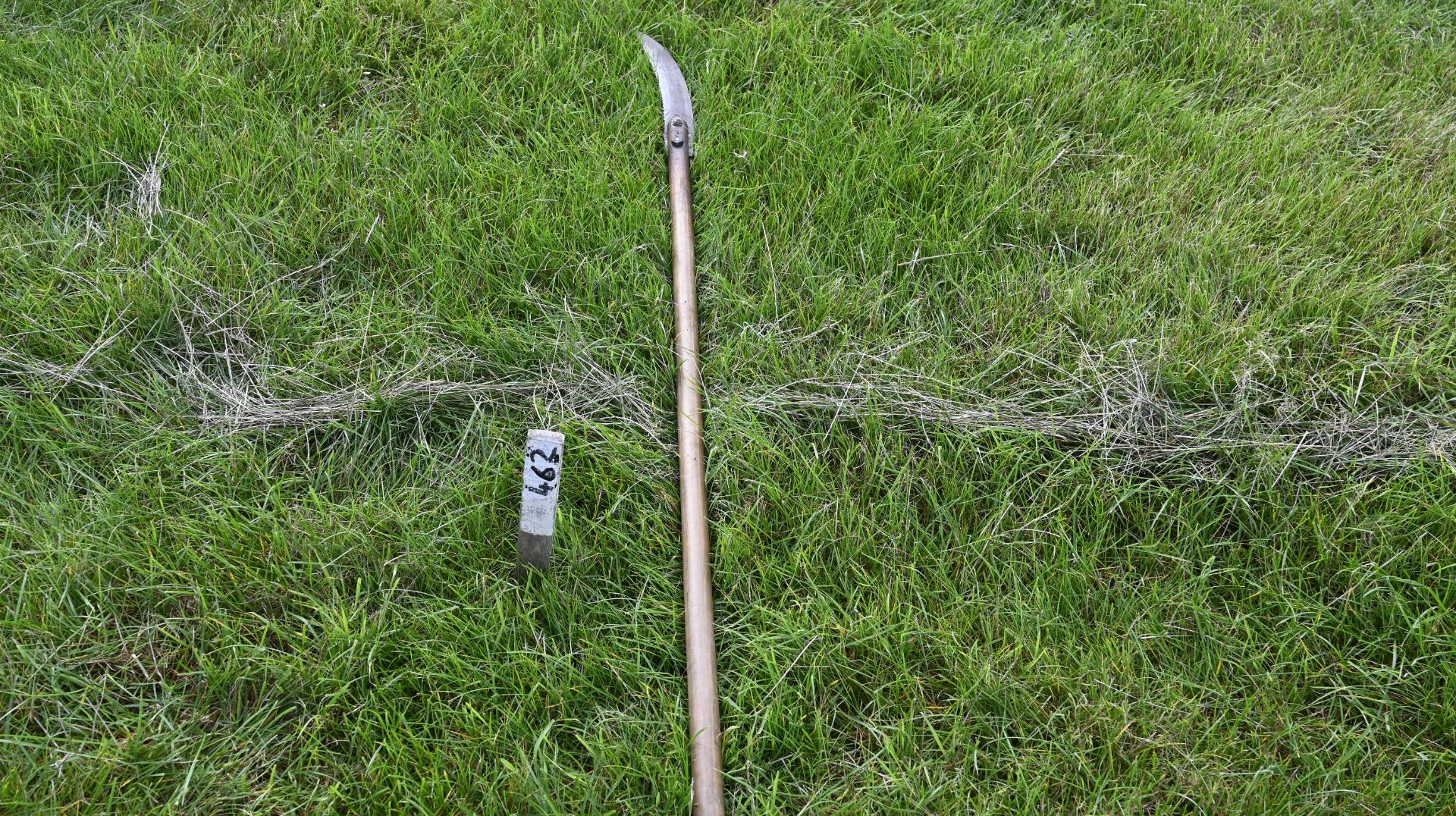 Vintage pruning saw