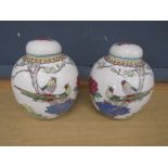 Pair of Chinese ginger jars H22cm approx