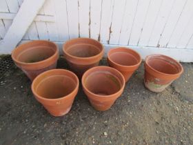 Terracotta garden pots