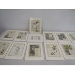 Hand coloured poem etchings