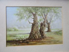 Oil painting of a woodland scene, framed and glazed 37cm x 47cm approx