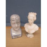 Signed bust of a lady and Phrenology head H25cm approx