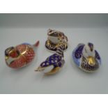 4 Royal Crown Derby Paperweights to include Pheasant with fixed ceramic stopper, Imari Frog, Duck