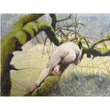 Neil Ward-Robinson (B.1943), nude on canvas girl in the tree, unframed 51 x 61cm