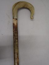 A horn on white hazel crook  (white hazel only found in Scotland)