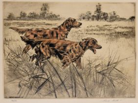 Henry Wilkinson, a signed limited edition coloured etching of Irish Red Setters 134/150. 25 x 36 cm,