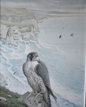 J. Michael Benington, Irish 1933-2022  Framed oil on canvas Peregrine on the cliffs Michael