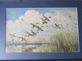 Peter Scott picture of ducks in flight, framed and glazed 56cm x 79cm approx