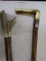 2 bone handled walking cane and thumb stick, one with silver collar