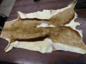 Antelope skin