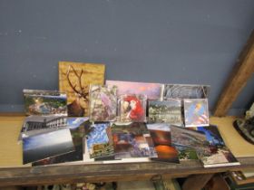 Collection of photographs