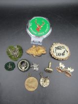 Mostly deer brooches and a pheasant brooch and a Deer association badge a/f