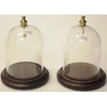 Pair glass display domes & bases