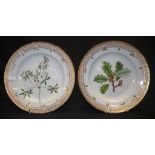 Two Royal Copenhagen Flora Danica dinner plates